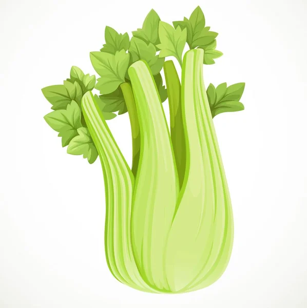 Stem Juicy Celery Isolated White Background — Stock Vector