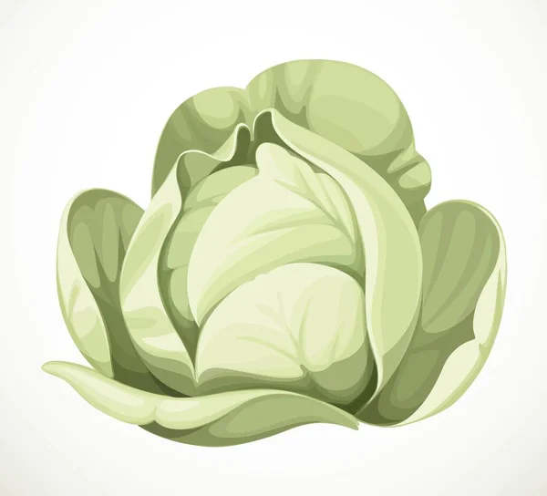 White Cabbage Isolated White Background — Stock Vector
