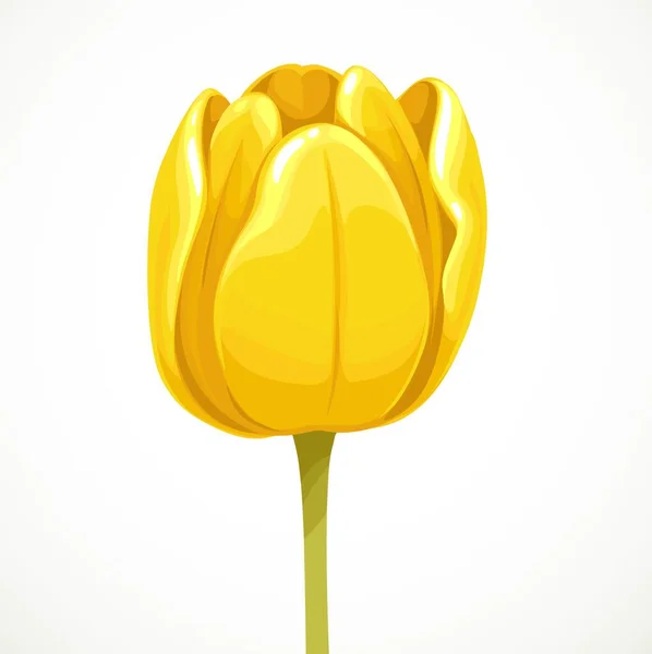 Gelbe Tulpe Blume Knospe Profil Ansicht Isoliert Auf Weißem Hintergrund — Stockvektor