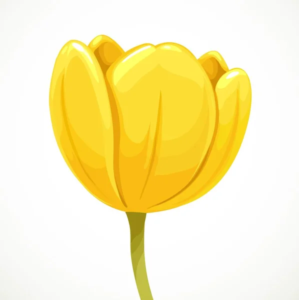 Gelbe Tulpe Offene Blume Profil Ansicht Isoliert Auf Weißem Hintergrund — Stockvektor