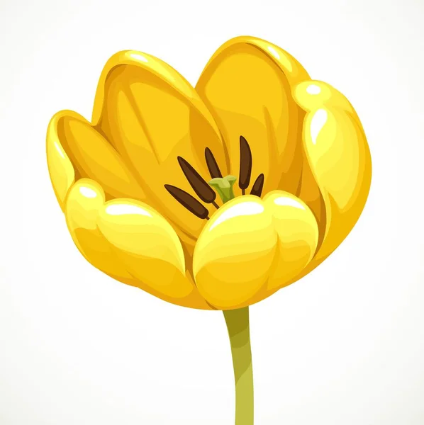 Flor Abierta Tulipán Amarillo Aislada Sobre Fondo Blanco — Archivo Imágenes Vectoriales