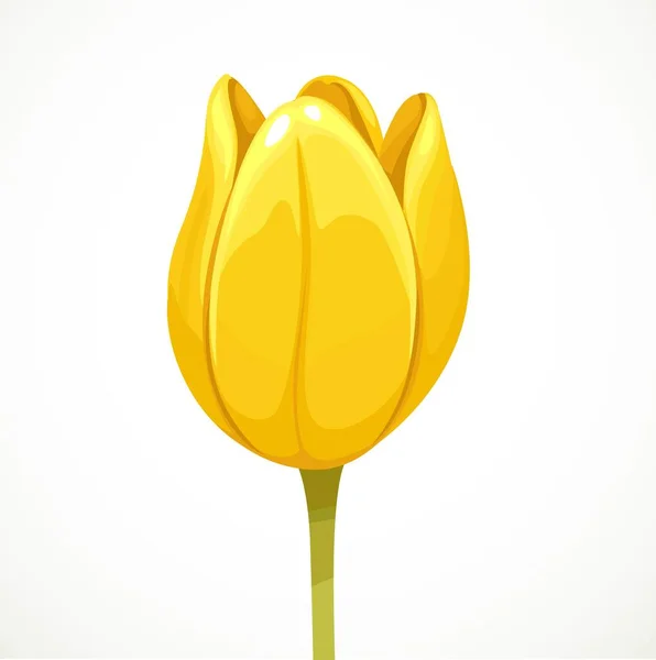 Amarelo Bela Tulipa Flor Meio Aberto Bud Perfil Vista Isolada — Vetor de Stock