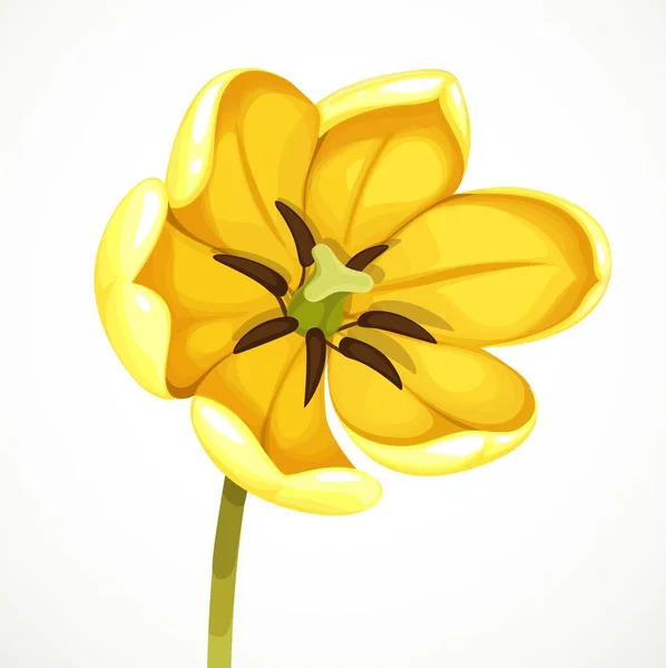 Sarı Lale Çiçeği Mümkün Olduğunca Açık Beyaz Arkaplanda Izole Bir — Stok Vektör