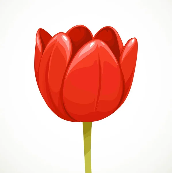 Tulipe Rouge Fleurissant Profil Isolé Sur Fond Blanc — Image vectorielle