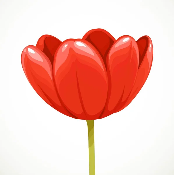 Röd Tulpan Blommande Blomma Profil Isolerad Vit Bakgrund — Stock vektor