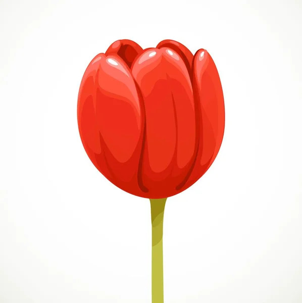 Czerwony Kwiat Tulipana Profilu Długim Łodydze Izolowane Białym Tle — Wektor stockowy