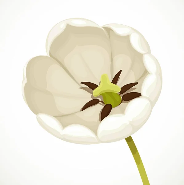 Beyaz Lale Çiçeği Mümkün Olduğunca Açık Beyaz Arkaplanda Üst Görüntüyü — Stok Vektör