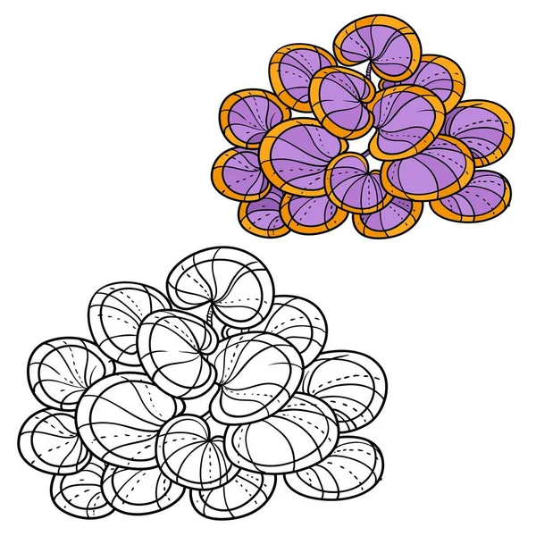 Purple Seaweed Small Leaves Coloring Book Linear Drawing Isolated White — Stock Vector