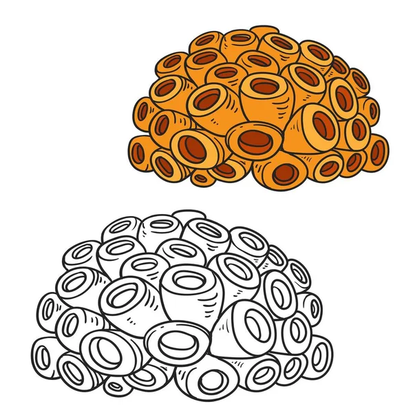 白色背景下孤立的橙色海绵着色书线性绘图 — 图库矢量图片