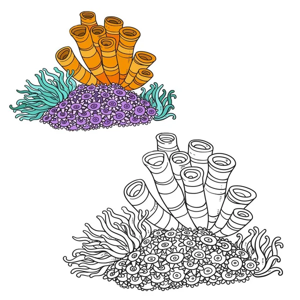 Plusieurs Anémones Éponges Coloriage Livre Dessin Linéaire Isolé Sur Fond — Image vectorielle