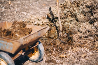 Adam bahçede çalışan.