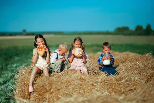 Dzieci Obszarach Wiejskich Żywo — Zdjęcie stockowe