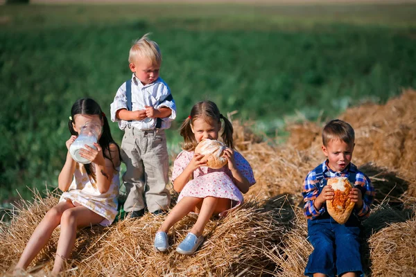 Kinderen Het Platteland Een Live — Stockfoto