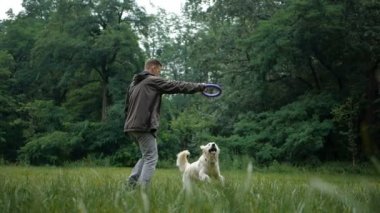 4 k yavaş hareket. Köpek eğitim. Bir adam öğretim ve parkta açık bir Golden retriever köpek eğitim.