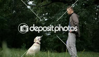 4 k yavaş hareket. Köpek eğitim. Bir adam öğretim ve parkta açık bir Golden retriever köpek eğitim.