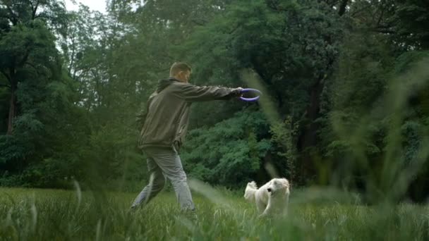 スローモーション 犬の訓練 男は教育と訓練の公園で屋外ゴールデンレトリーバー犬 — ストック動画