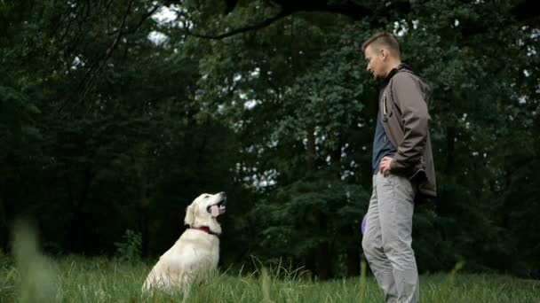 スローモーション 犬の訓練 男は教育と訓練の公園で屋外ゴールデンレトリーバー犬 — ストック動画