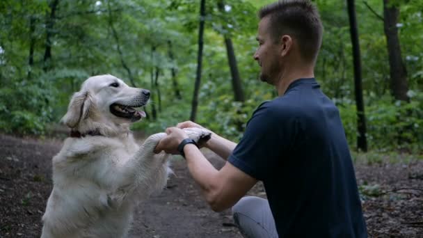 Медленное Движение Концепция Обучения Собак Мужчина Играет Тренирует Собаку Золотистого — стоковое видео