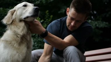 4 k yavaş hareket. Sahibi adam tarama ve açık park Golden retriever köpek yün fırçalama