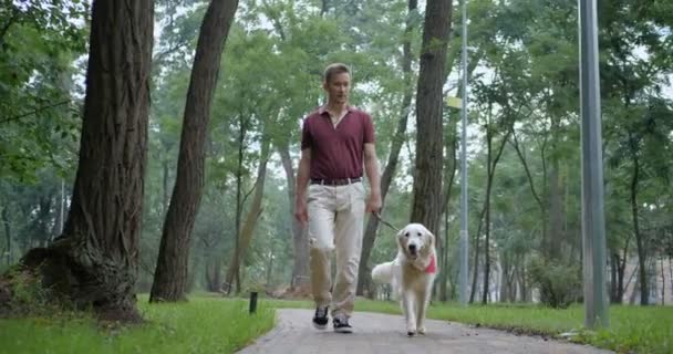 Власник Прогулянки Goldeowner Прогулянки Золотистий Ретрівер Собака Разом Парку — стокове відео