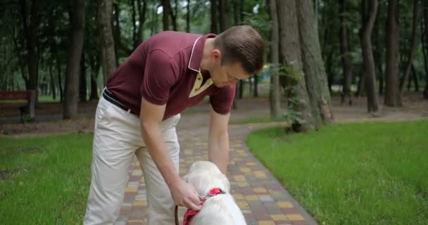 ゴールデンレトリーバー犬を連れて歩いて 公園で一緒に Goldeowner と歩いて所有者 — ストック動画