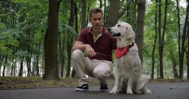 Ιδιοκτήτης Περπάτημα Golden Retriever Σκύλου Συμμετέχουν Στο Πάρκο — Αρχείο Βίντεο