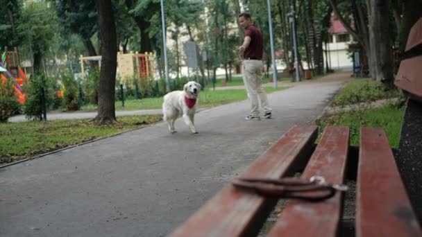 Właściciel Chodzenie Golden Retriever Pies Razem Parku — Wideo stockowe
