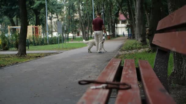 ゴールデンレトリーバー犬を連れて歩いて 公園で一緒に所有者 — ストック動画