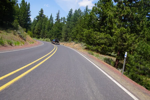 Highway through conifer forest of the High Desert near John Day,Oregon