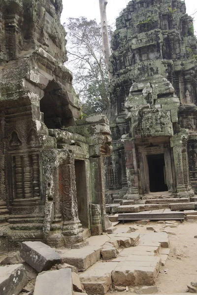Ancient temple with carvings recovered from the jungle