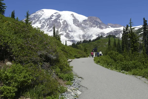 Hikers on trail above Paradise with  Mount Rainier