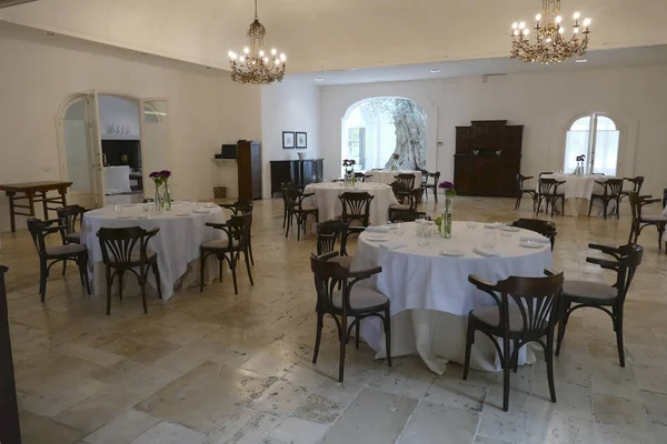 Dining room and lounge built around ancient olive trees
