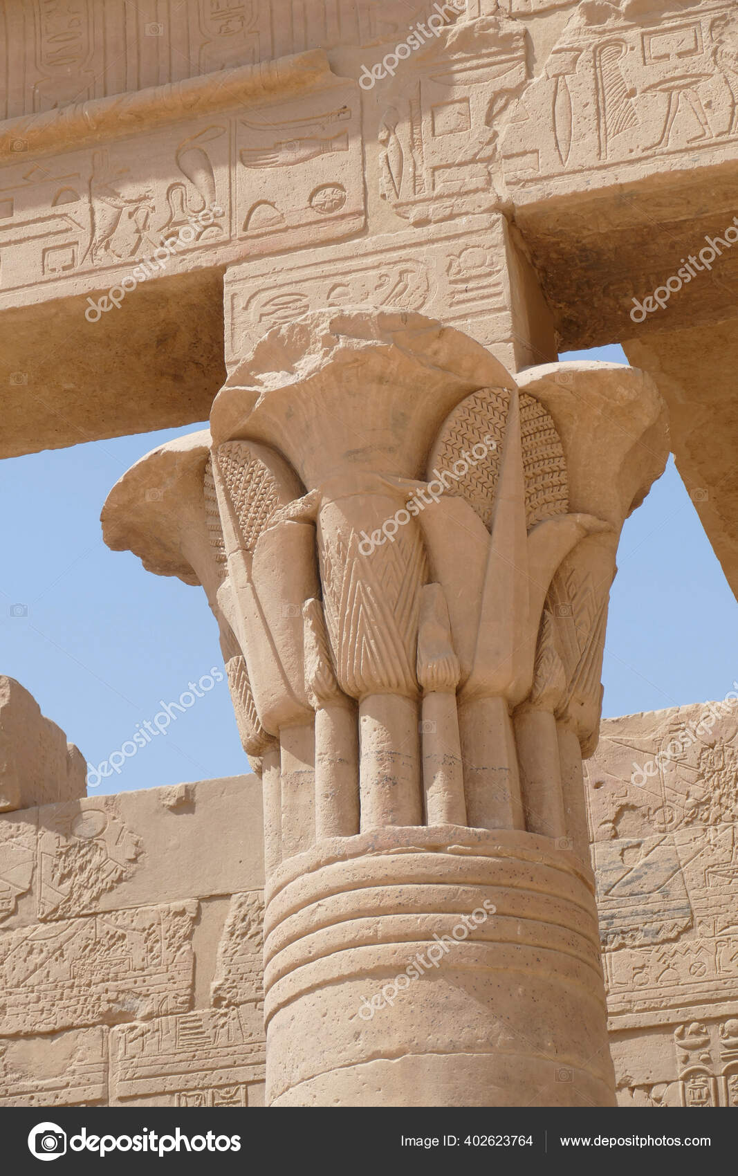 Acanthus Lotus Papyrus Decorate Capitals Columns Courtyard Philae Temple Relocated Stock Photo C Cascoly Acanthus Lotus Papyrus Decorate Capitals Columns Courtyard Philae Temple Relocated Stock Photo C Cascoly