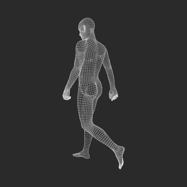 步行人类3D 人体模型 几何设计 人体钢丝模型 矢量插图 — 图库矢量图片
