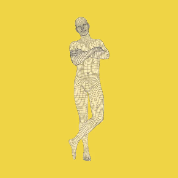 Muž Stojí Nohou Muž Založenýma Rukama Prsou Model Lidského Těla — Stockový vektor