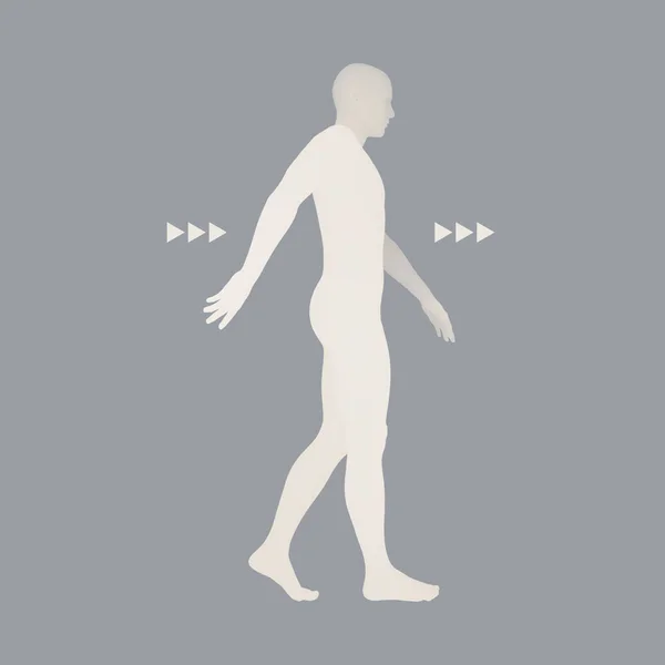 Homem Caminhante Modelo Corpo Humano Elemento Design Ilustração Vetorial —  Vetores de Stock