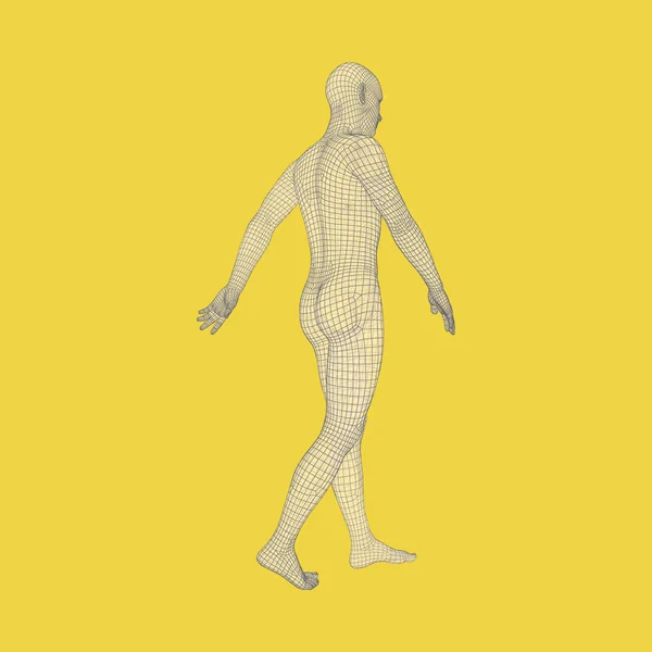 Walking Man Human Body Model Geometric Design — Stock Vector