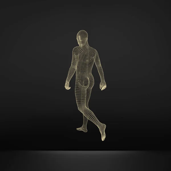 Adam Yürüyüş Insan Vücut Modeli Geometrik Tasarım Nsan Vücudu Tel — Stok Vektör