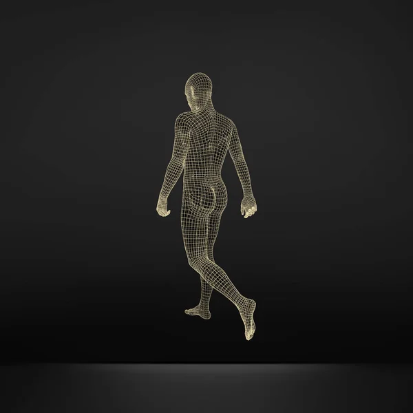 Wandelen Man Human Body Model Geometrisch Ontwerp Menselijk Lichaam Draad — Stockvector