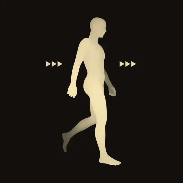Walking Man Human Body Model Design Element Vector Illustration — Stock Vector