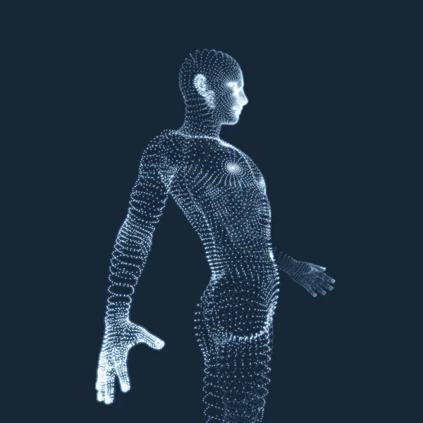 Modelo Del Hombre Cuerpo Humano Elemento Diseño Ilustración Vectorial — Vector de stock