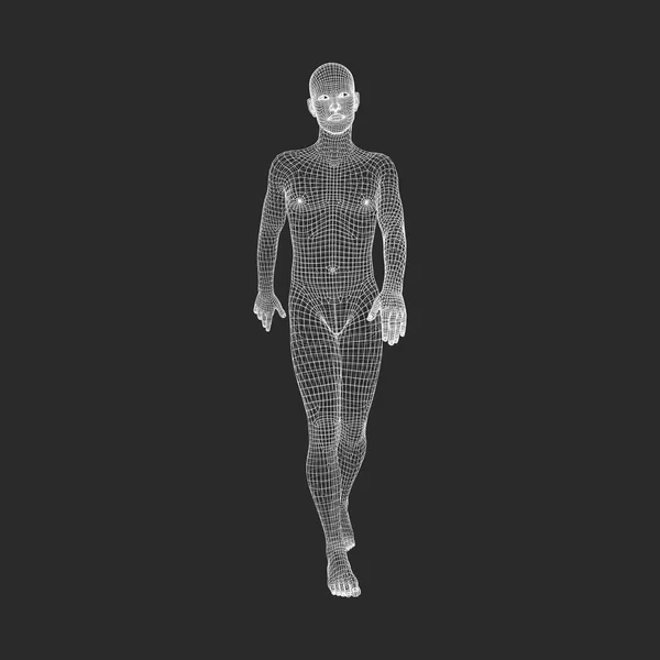 步行人类3D 人体模型 几何设计 人体钢丝模型 矢量插图 — 图库矢量图片