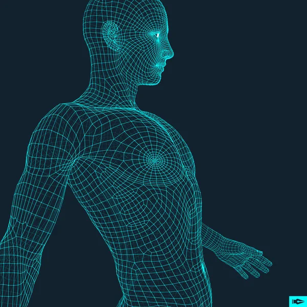 人間の人体の モデルはワイヤー モデル デザイン要素 技術のベクトル図 — ストックベクタ