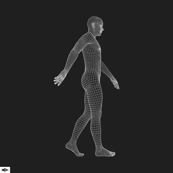 Walking Man Human Body Model Geometric Design Human Body Wire — Stock Vector