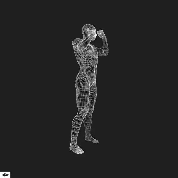 Combatiente Modelo Del Hombre Cuerpo Humano Símbolo Deportivo Elemento Diseño — Vector de stock