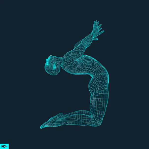 Gimnasta Hombre Modelo Del Hombre Modelo Cuerpo Humano Gimnasia Actividades — Vector de stock