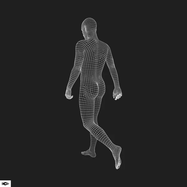 Caminante Modelo Cuerpo Humano Diseño Geométrico Modelo Alambre Cuerpo Humano — Vector de stock