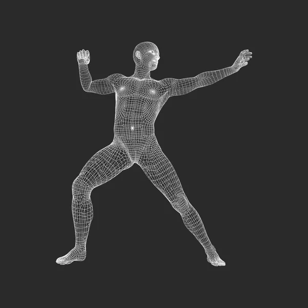 Modelo Del Hombre Modelo Alambre Cuerpo Humano Elemento Diseño Tecnología — Archivo Imágenes Vectoriales