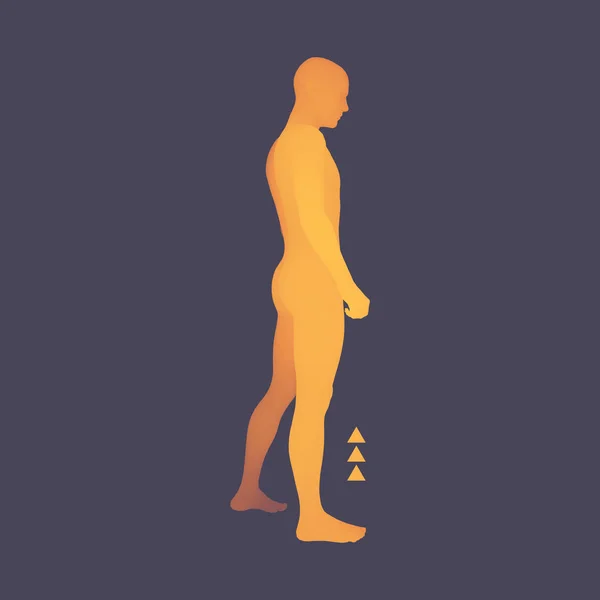 Στέκεται Man Τρισδιάστατο Ανθρώπινο Σώμα Μοντέλου Στοιχείο Του Σχεδιασμού Άνθρωπος — Διανυσματικό Αρχείο