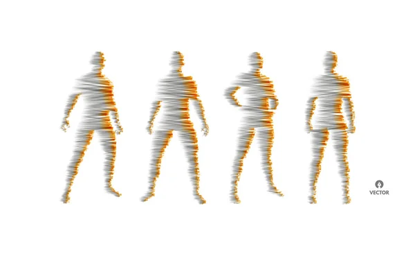 People Standing Group Human Body Model Design Element Vector Illustration — Stock Vector